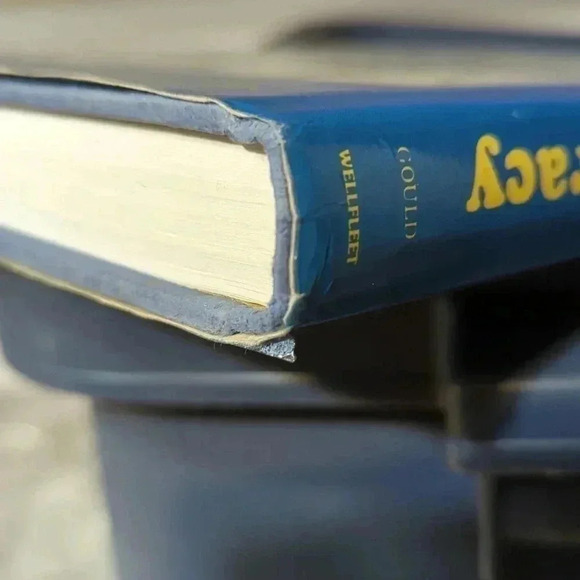 The Celebrated Cases  of Dick Tracy by Chester Gould - Picture 8 of 11